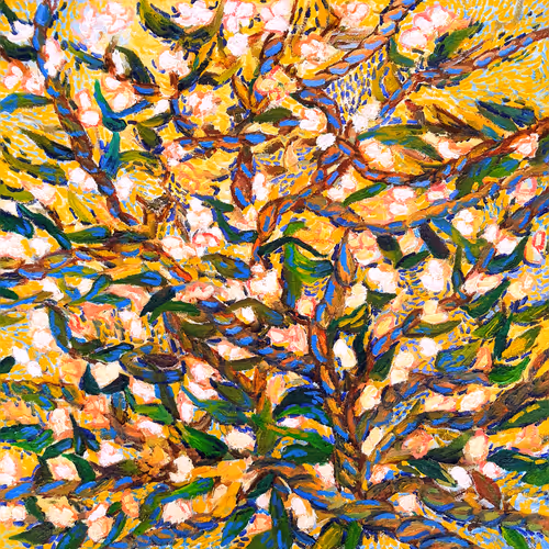 Yellow spring
