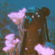 Lucidity