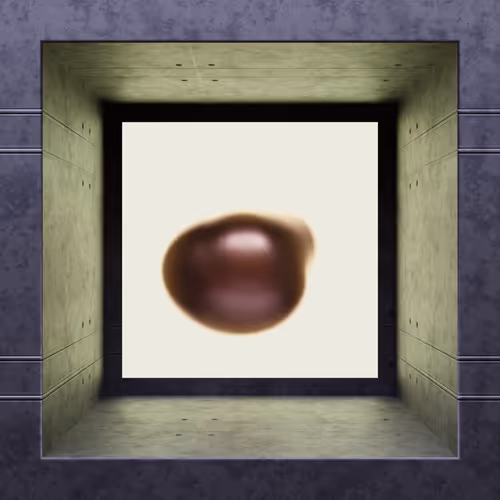 Item #4 Media
