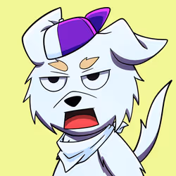 2533