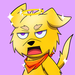 251
