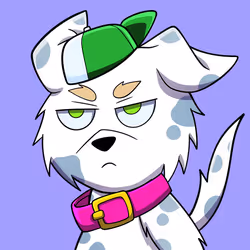 2447