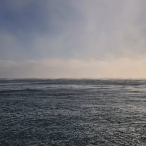 Angie Taylor Rodeo Art