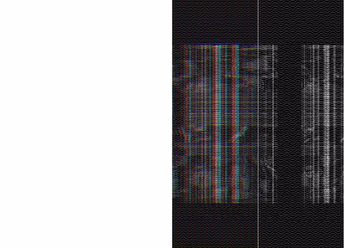 Item #6 Media