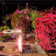 Collectible Scape (L2)