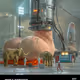 DICK MILKING FACTORY