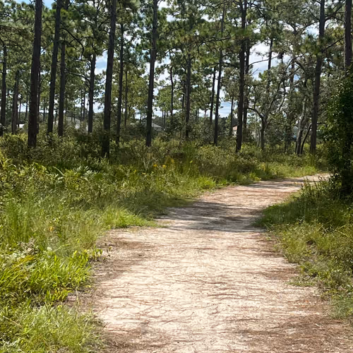 On the path 1