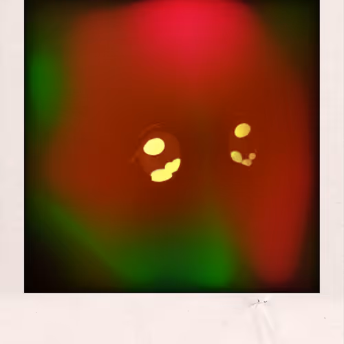 Moshicam
