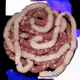 261