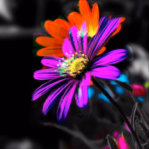 One of 1's