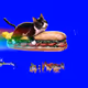 Sandwich Cat | NYAN CAT INSPIRED REMIX.
