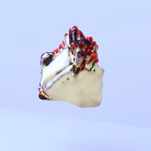 Item #408 Media