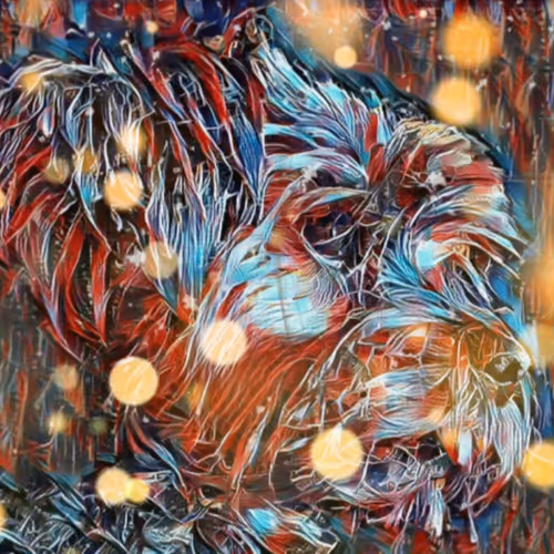 TEDDY T. MOTION