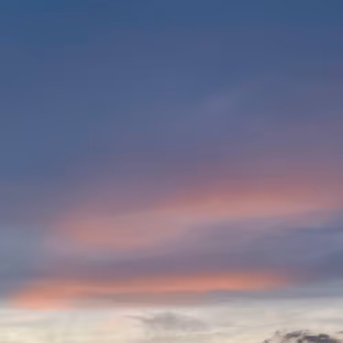 Rodeo posts