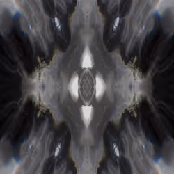 264