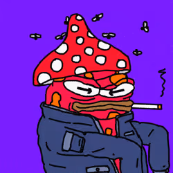 3482