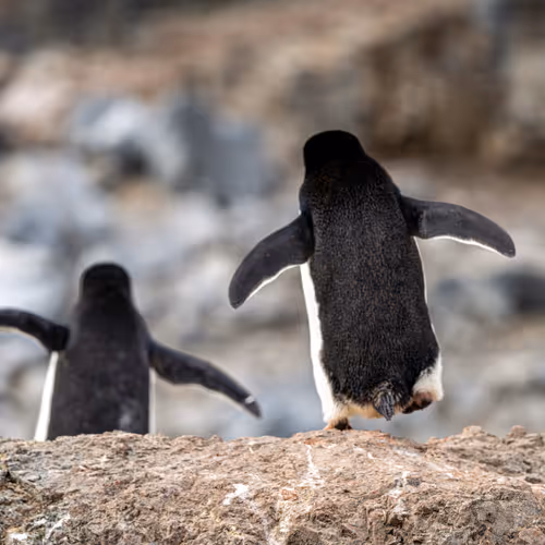 Heading into the weekend