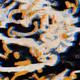 Glitxch