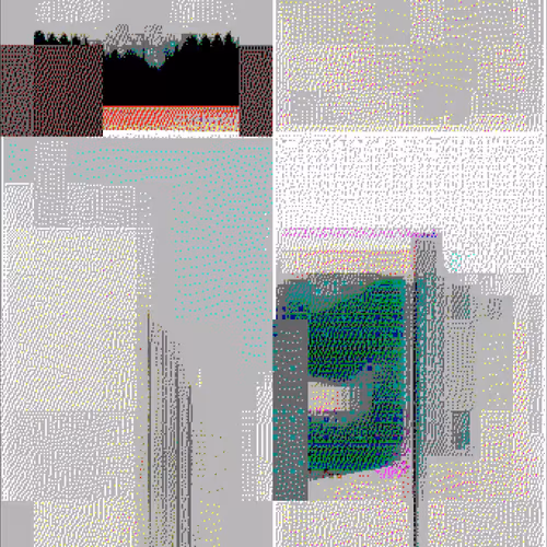 Network State: Field Recording-1