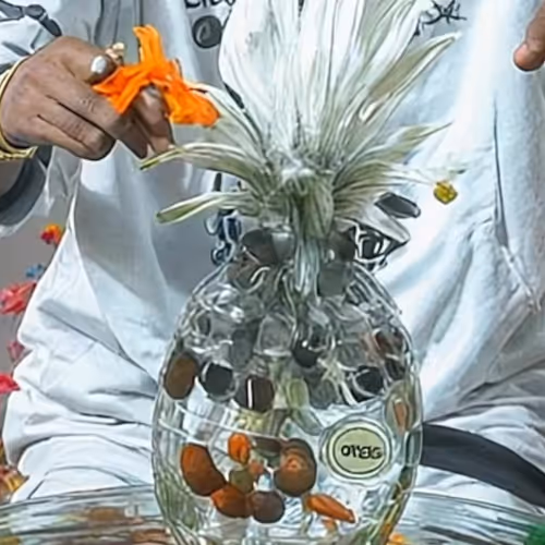 Snoop loves Beeple