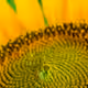 98