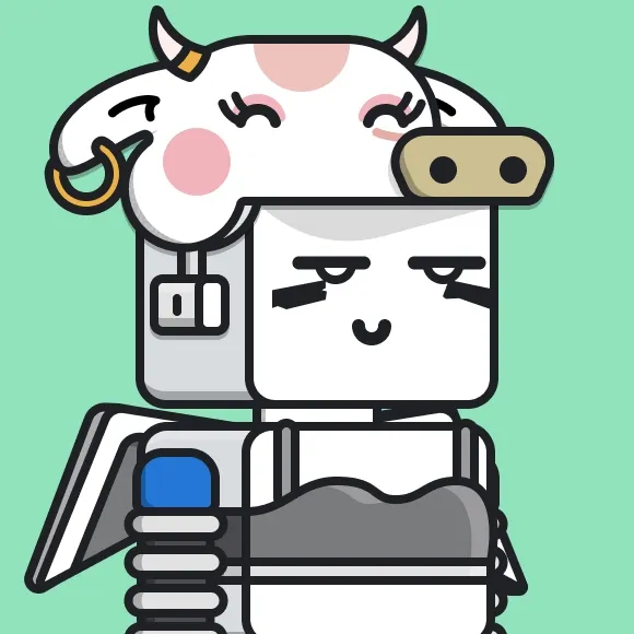 Roboto Helmeto #879