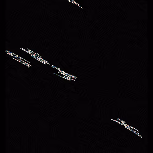 Rodeo posts