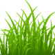 grass
