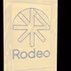 Rodeo posts