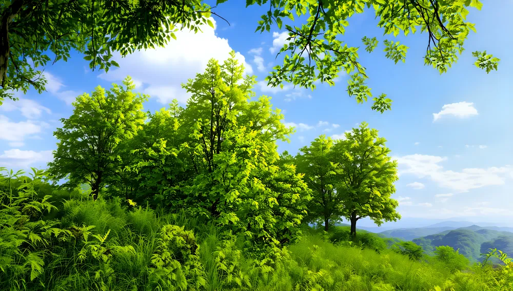 Endless Green A Spring-Su...