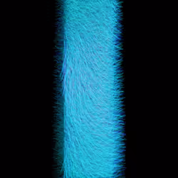 75