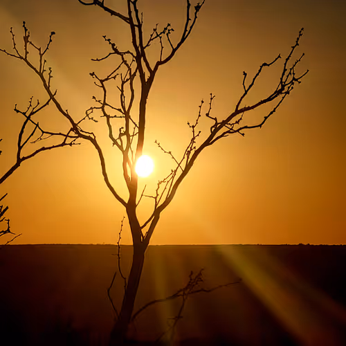 A Palo Duro Sunset