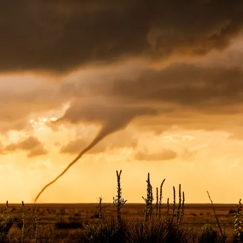 Tornado Rope Out