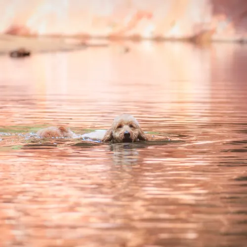 Summer Cool Off
