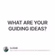 WHAT ARE YOUR GUIDING IDEAS?
