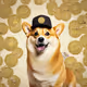 CORGIWIFHAT