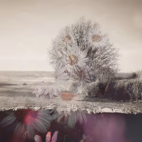Cold, Interrupted