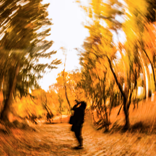 Welcome, autumn!