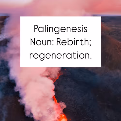Word of the Day #11