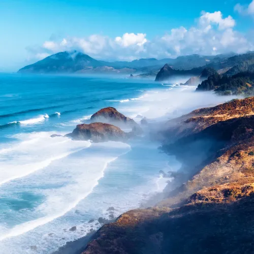 Misty Coast