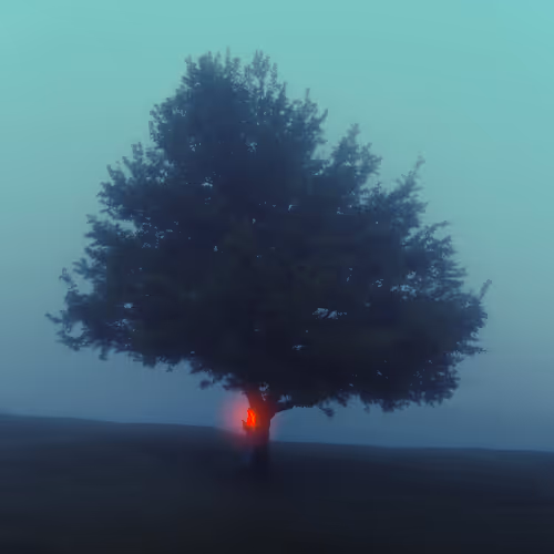 Limited Sight: