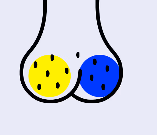 BasedBallz (Onchain)