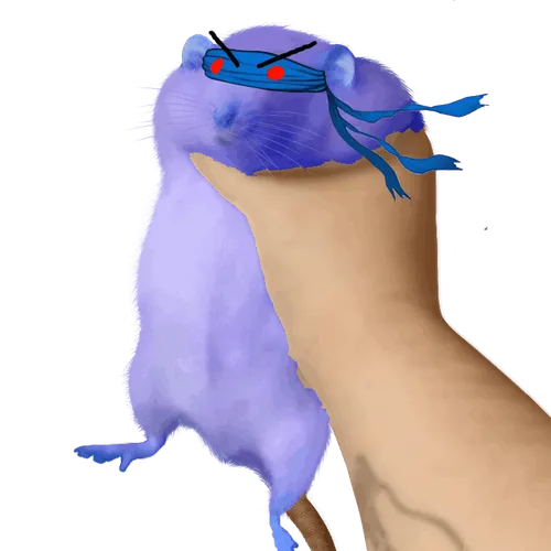 The NilRat