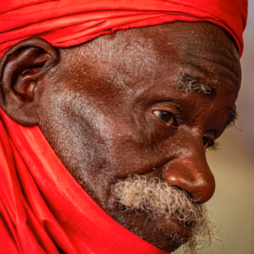 Dogari