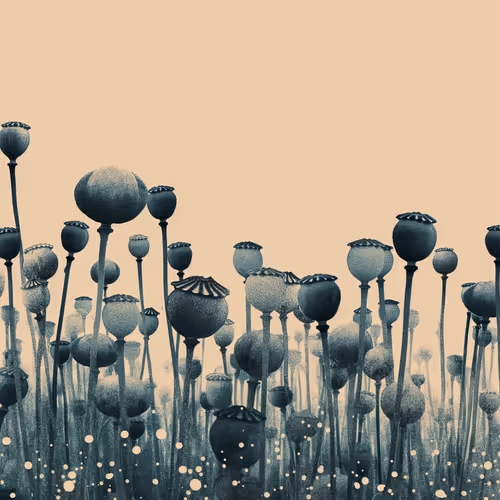 Endless Beginnings