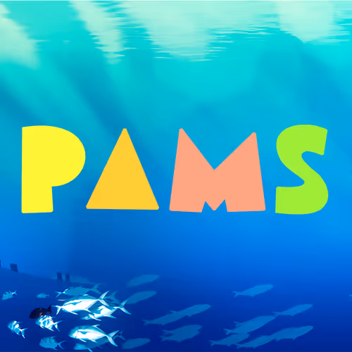 PaMs on Base