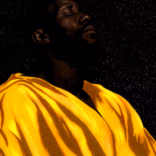 Lost in the Cosmos