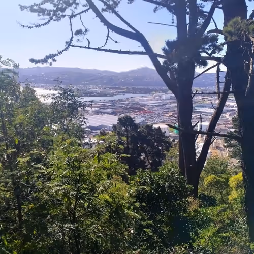 Wellington New Zealand