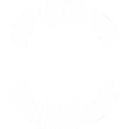 @supranon on Drakula.app