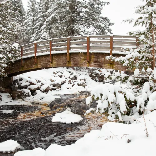 Bridge in Winter